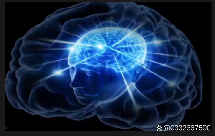 某大厂高管被曝双重生活:白天西装革履,夜晚另有身份